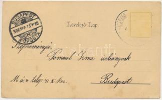 1900 Székelyudvarhely, Odorheiu Secuiesc; látkép / general view. Posner litho (fl)