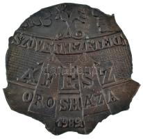 Rajki László (1939-) 1989. "Szövetkezetért - ÁFÉSZ Orosháza" kétoldalas, öntött bronz plak...