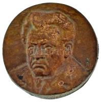 Rajki László (1939- ) 1979. &quot;Darvas Irodalmi Emlékház - 1979 Orosháza&quot; bronz plakett (77mm) T:XF