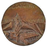 Rajki László (1939- ) 1979. "Darvas Irodalmi Emlékház - 1979 Orosháza" bronz plakett (77mm...