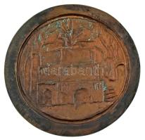 1976. "Hetvenöt éves a Vasgyári Kórház 1976" kétoldalas, öntött bronz plakett (100-101mm) ...