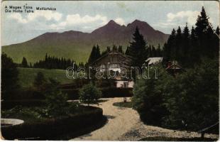 Matlárháza, Matliary, Tatranské Matliare (Magas-Tátra, Vysoké Tatry); szálloda, nyaraló / hotel, villa (EB)