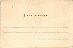 Fogaras, Fagaras; Apaffy (Apafi) fejedelem kastélya a XIV. századból, vár / Schloss des Fürsten Apaf...