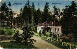 Bártfafürdő, Bardejovské Kúpele, Bardiov, Bardejov; Mignon villa. Neumann Viktor kiadása / villa (EM)