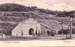 Désakna Lajostárna salt mine entrance (EB)