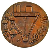 Váró Márton (1943-) 1978. "Prof. Dr. Bognár Rezső 65 éves" kétoldalas, öntött bronz plaket...