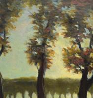 Markó Ernő (1868-1945): Fények. Olaj, vászon, jelzett, javított. Dekoratív fakeretben, 73,5×60 cm