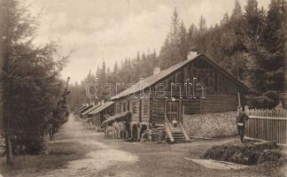 Bisztra wooden cottages (EB)