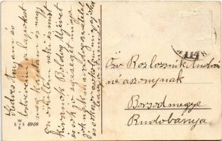 Boldog újévet! malac család / New Year greeting, pig family. WSSB 8909. (Rb)