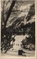 Tátra, Magas Tátra, Vysoké Tatry; Popradské pleso / Poprádi-tó és Majláth menedékház télen / lake, chalet in winter. photo