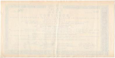 Arad 1890. "Alföldi és Délmagyarországi általános kiállítás" sorsjegy 50kr értékben, &quot...