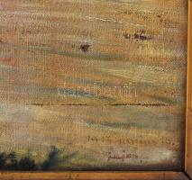 Bicsérdy Lajos (1892-): A pozsonyi vár (Bratislava/Pressburg), 1913. Olaj, vászon, jelezze jobbra le...