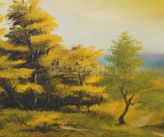 Hergessel jelzéssel: Őszi táj. Olaj, farost. Dekoratív, kissé sérült fakeretben. 38x48 cm