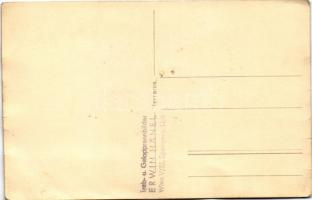 Wien, Vienna, Bécs; Stall Grinzing's Zavaratello / racing horse. Trab- und Galoppenbilder Erwin...