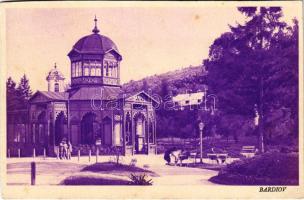 Bártfa, Bártfafürdő, Bardejovské Kúpele, Bardiov, Bardejov; Hlavny pramen / Főforrás / spa, spring source (vágott / cut)