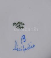 1918-1939 Haas & Czjzek világoskék alapon virágmintás teás készlet. Jelzett, kopással, egyik fog...