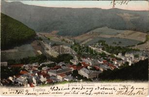 1905 Trencsénteplic, Trencianske Teplice; Kilátás a Szarvasról. Hermann Seibt kiadása / vom Hirschen / general view (EK)