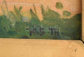 K. S. Th. jelzéssel, XX. sz. első fele: Virágzó park. Olaj, karton. Dekoratív, sérült fakeretben, 24...