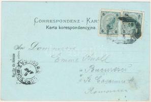 1900 Stryi, Stryj, Strij; Post-Gebäude, Magistrat. Art Nouveau, floral, litho (EB)