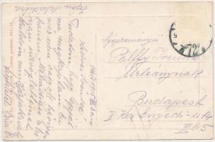 1915 Mehádia, Mehadia; Zordinai részlet. W.L. Bp. 1507. / Partie von Zordina / riverside (EK)