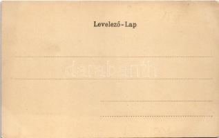 Kolozsvár, Cluj; Mátyás király tér és szobor, gyógyszertár, Reil és Tokos üzlete / square and statue...