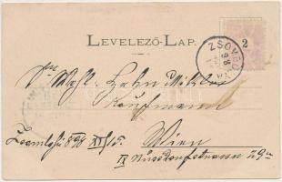 1898 (Vorläufer) Zsombolya, Hatzfeld, Jimbolia; Gróf Csekonits kastély, Flórián szobor, Vendégfogadó...