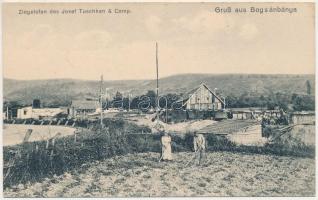 Boksánbánya, Románbogsán, Németbogsán, Deutsch-Bogsan, Bocsa Montana; Ziegelofen des Josef Tuschkan &amp; Comp. / téglagyár, kemence. Fotografie Carl Szabonáry / brickyard, brick kiln (kis szakadás / small tear)