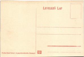 Pelsőc, Pelsőcz, Pelsücz, Plesivec (Gömör); Blum-féle intézet (tébolyda, elmegyógyintézet), kórház, ...