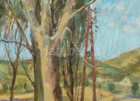 Udvary Pál (1900-1987): Balatonfüred 40 éve. Olaj, vászon. Jelezve balra lent. Hátoldalán autográf f...