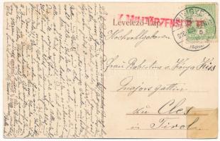 1916 Bajmóc, Bojnice; Vár és Rákóczi hársfa ( E fa alatt tartotta Mátyás király az országgyűlést). 5...