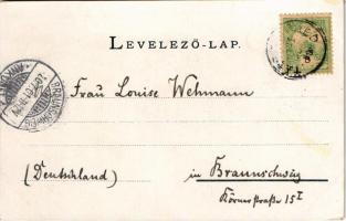 1901 Tátrafüred, Ótátrafüred, Altschmecks, Stary Smokovec (Magas Tátra, Vysoké Tatry); Maurer Adolf ...