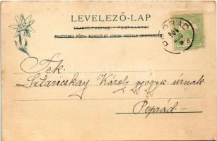 1904 Tátra, Magas-Tátra, Vysoké Tatry; Tengerszem, a kis és nagy Miedziane. Feitzinger Ede 1902/12. ...