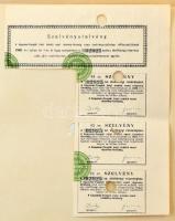 Budapest 1896. "Kaposvár-Fonyódi Helyi Érdekű Vasút Részvénytársaság" elsőbbségi részvénye...