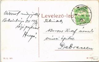 1911 Boksánbánya, Németbogsán, Deutsch-Bogsan, Bocsa Montana; A szanatórium kert részlete. W.L. 123....