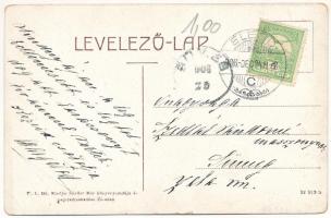 1908 Élesd, Alesd; Református templom. W.L. 291. Sándor Mór kiadása / Calvinist church (EK)