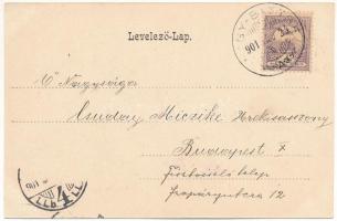 1901 Nagybiccse, Nagy-Bittse, Bytca; vár, kastély. Spiegel J. fényképész kiadása / Bytciansky zámok ...