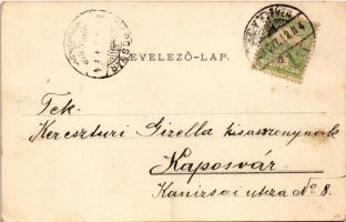 1903 Nagyszeben, Hermannstadt, Sibiu; Erlenpark und k.u.k. Garnisons-Spital. G.A. Seraphin, Jos. Dro...