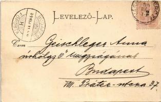 1899 (Vorläufer) Manin-szoros, Maninschlucht, Manínska tiesnava; Vágvölgy. Gansel Lipót 52. / Das Wa...