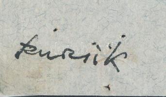 Szurcsik János (1931-): Tanulmányrajz. Tus, papír, jelzett, 24x16,5 cm