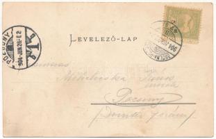 1904 Modor, Modra; Deák Ferenc tér, üzletek. Levius P. S. kiadása / square, shops + "ZSOLNA - P...