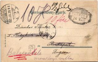 1902 Passo dello Stelvio, Stilfserjochstrasse (Südtirol); Hotel Edelweis, horse chariot (tear)