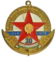 1975. "Flottilla 30 év, 1945-1975" műgyantás fém jelvény füllel (~50x48mm) T:AU Hungary 1975. "Flotilla, 30 years 1945-1975" syntetic resin metal badge with ear (~50x48mm) C:AU