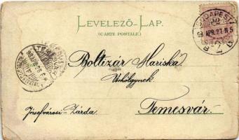 1898 (Vorläufer) Budapest, Igazságügyi palota, Vígszínház este. F. Schmuck Art Nouveau, floral, lith...