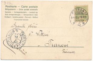 1904 Pozsony, Pressburg, Bratislava; látkép, vár / general view, castle. Verlag "Bediene dich a...