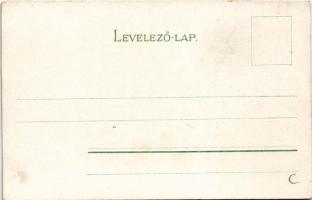 Pozsony, Pressburg, Bratislava; vár, gőzhajó. Leonhardi-féle tinta reklámlapja / castle, steamship. ...