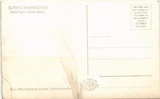 Székelykeresztúr, Kristur, Cristuru Secuiesc; Tanítóképző székely kapuja. Nagy Béla fényképész kiadá...