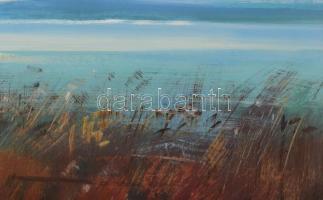 Vágfalvi Ottó (1925-2015): "Fény és nád" (Balatoni táj). Olaj, farost, jelezve jobbra lent...
