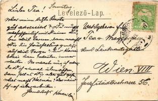 Miskolc, Népkerti vigadó. Ferenczi B. kiadása (fl)