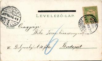 1902 Keszthely, Városháza, Gróf Festetics kastély, M. kir. gazdasági intézet, Főgimnázium, Balaton f...