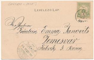 1906 Csákigorbó, Garbou; Báró Jósika-féle kastély, Gyümölcsös, Tüzes Kristóf üzlete és saját kiadása...